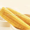 Instant Corn On The Cob